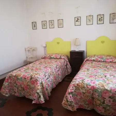 Le Finestre Di San Michele Apartment Castiglion Fiorentino